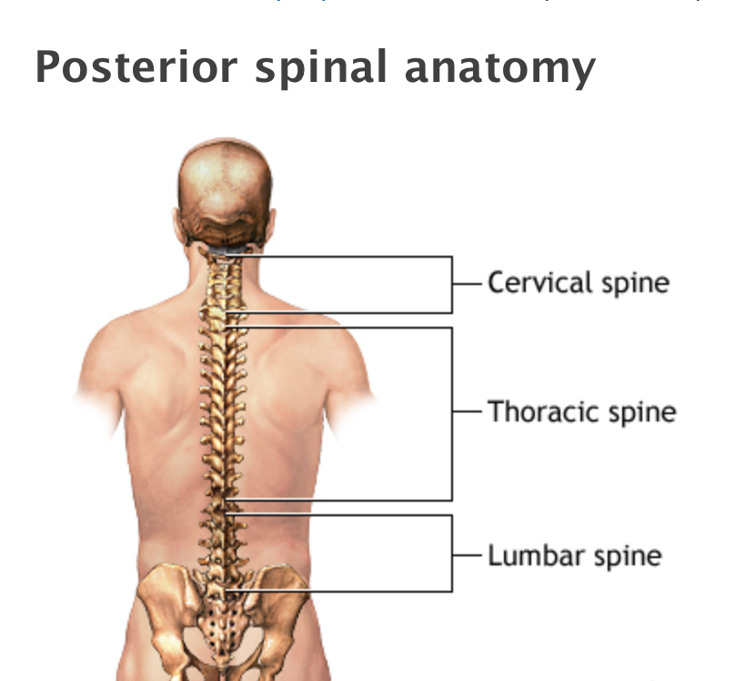 Spine Surgery - Raleigh, Chapel Hill, Durham, and surrounding areas