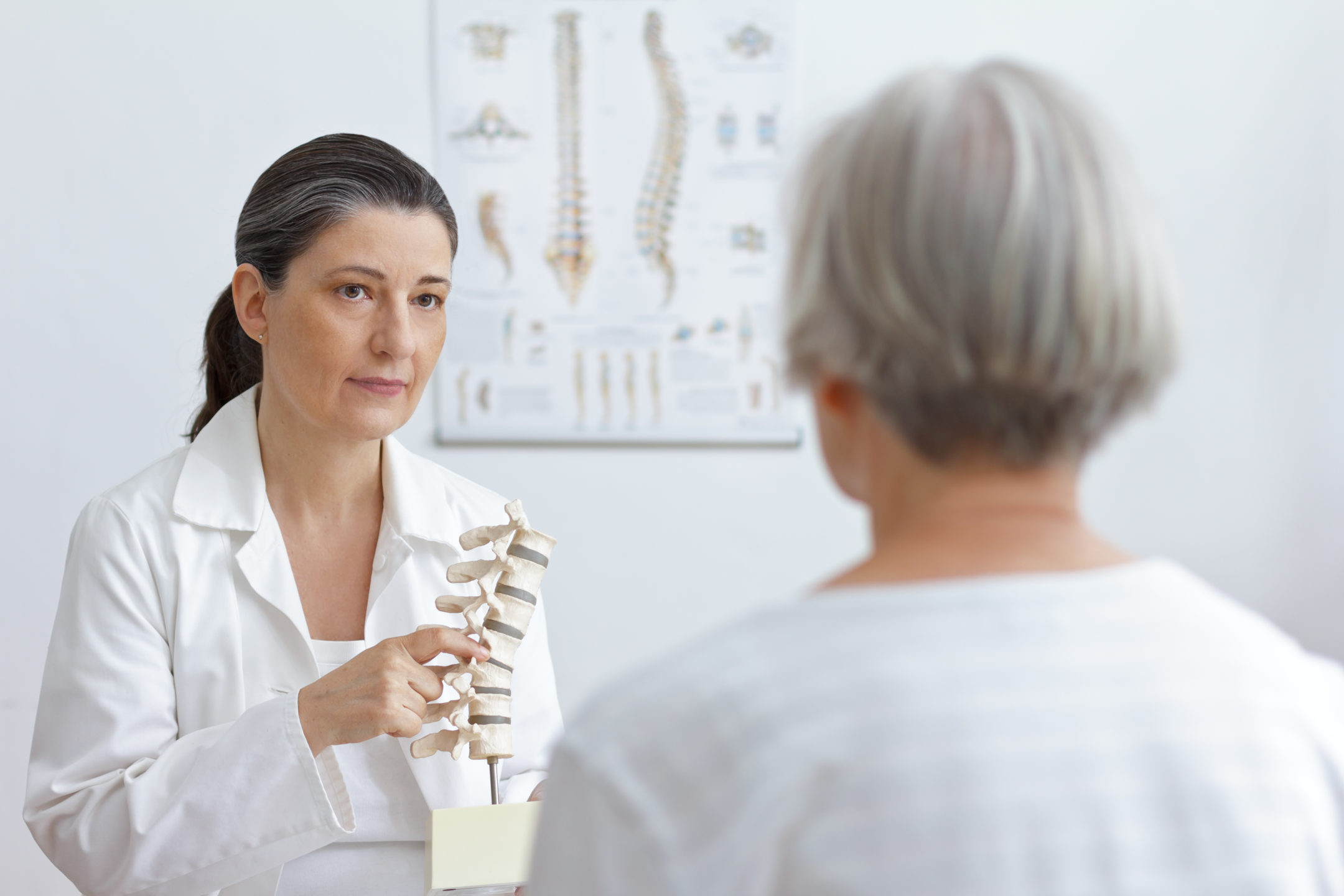  A doctor uses a model of a spine to show a patient a disc.